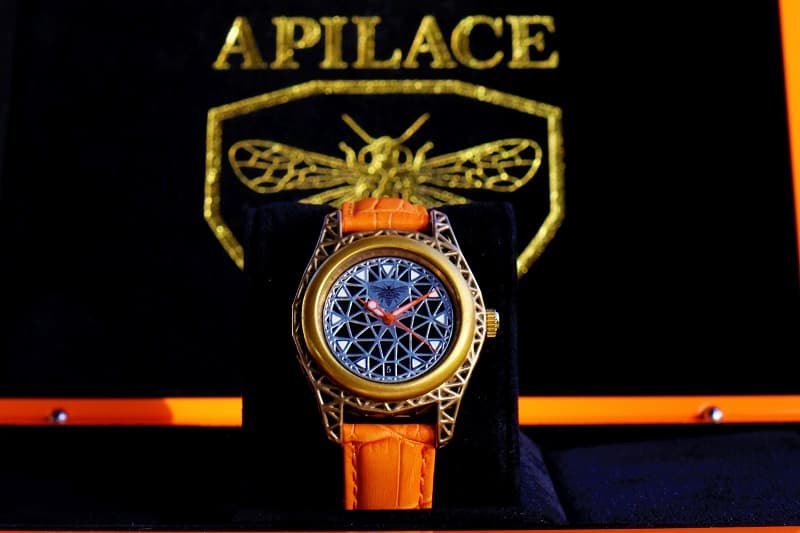 Image d'une montre Apilace