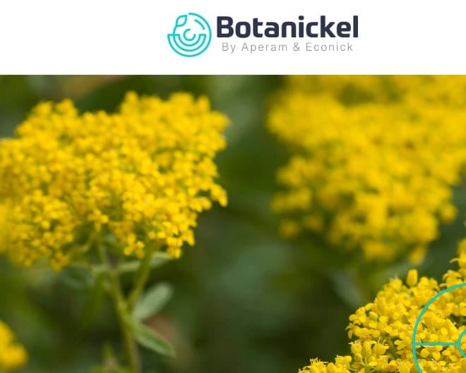 Image de Botanickel