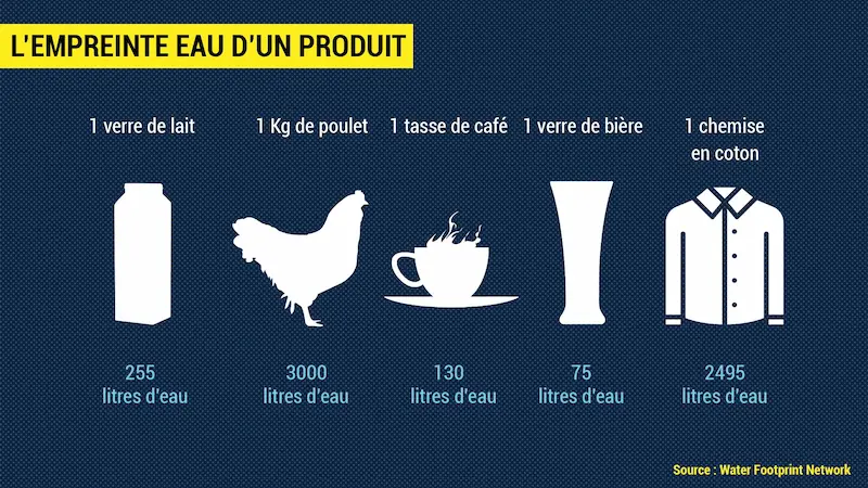 Comprendre son impact est essentiel pour cibler les actions les plus efficaces. Et calculer son empreinte écologique, c'est la première étape.